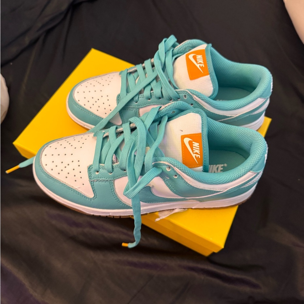 Nike Aqua and White Low-Top Sneakers